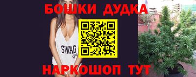 молекула духа Кингисепп