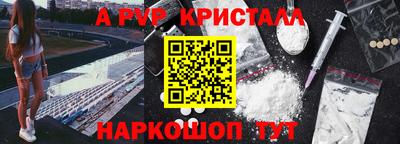 молекула духа Кингисепп