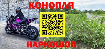 молекула духа Кингисепп