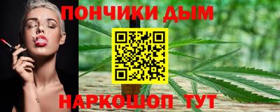 молекула духа Кингисепп