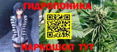 молекула духа Кингисепп