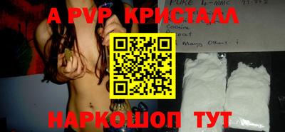 молекула духа Кингисепп