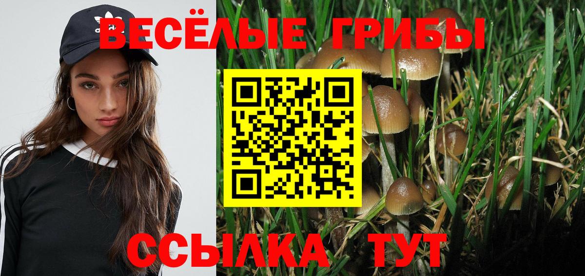 Псилоцибиновые грибы MAGIC MUSHROOMS  Галлюциногенные грибы ЛСД  Вход с VPN  Бирск 